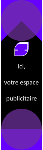 Espace Publicitaire Gratte Ciel  160 X 600 px